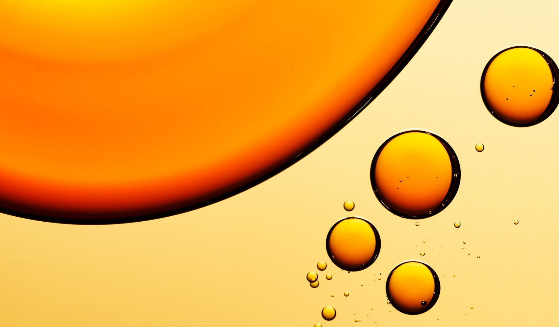 AHA vs. BHA: What’s the Difference in Skincare?