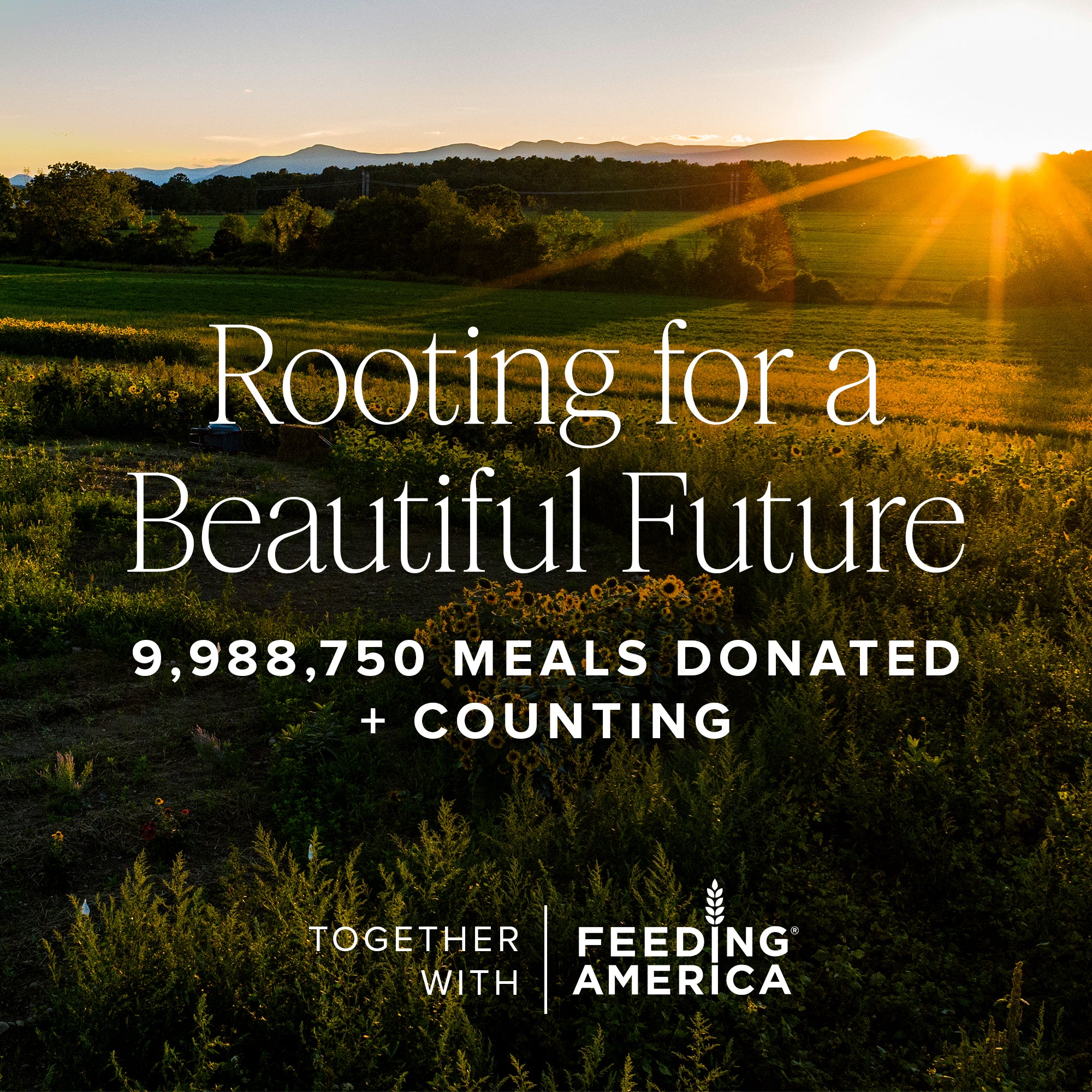 Honey Grail Ultra Hydrating Face Oil | Farmacy Beauty