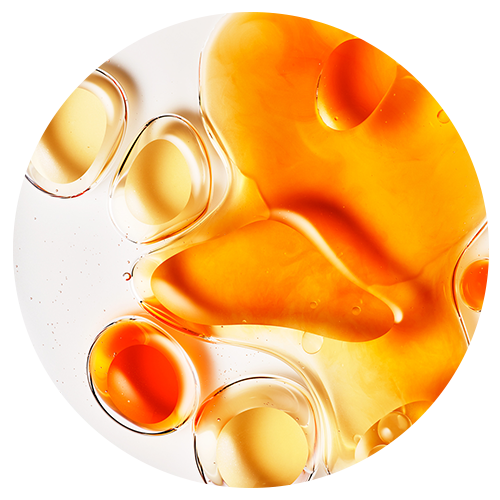 Close up image of Ferulic Acid ingredient