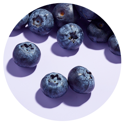 Close up image of blueberries