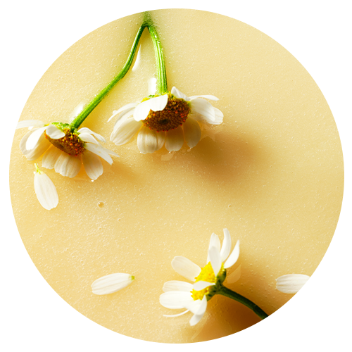 Chamomille ingredient