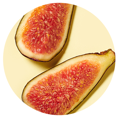 Close up of a fig cut in half
