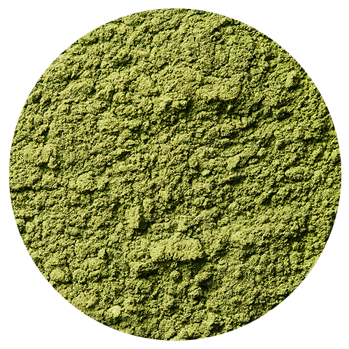 Close up image of green clay powder