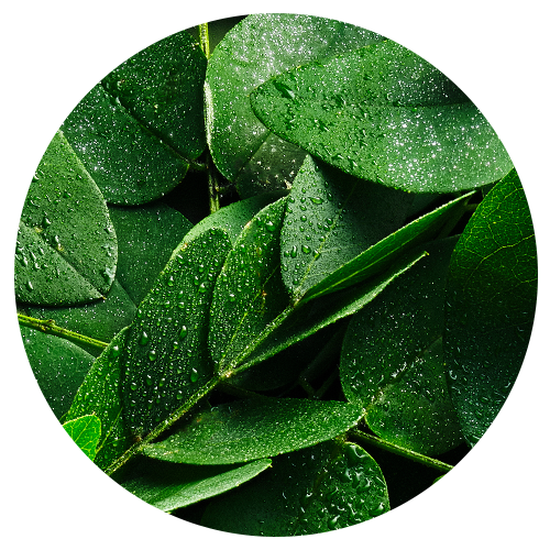 The Original Green Clean Cleansing Balm