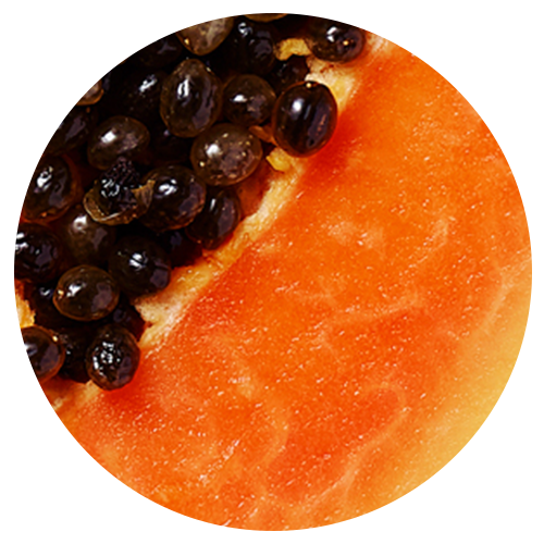 <span style="font-family:'FeatureDisplay Extralight Web'; font-size:30px;">Papaya Extract</span>