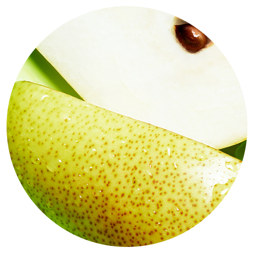 Pear icon