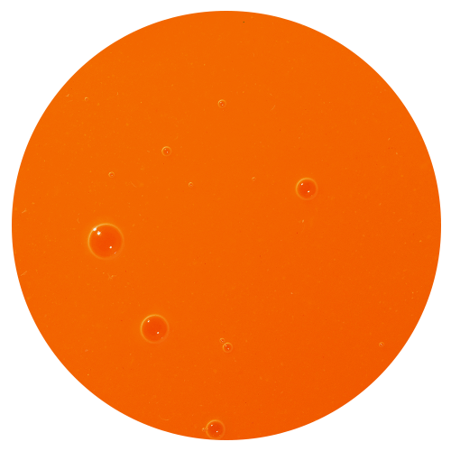 Close up image of Sea Buckthorn Oil