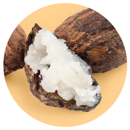 Close up image of Shea Butter