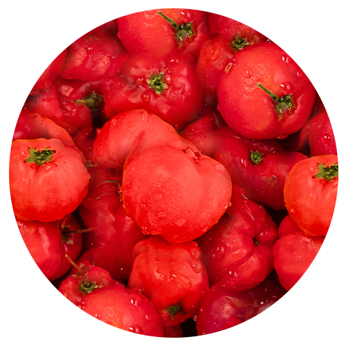 Close up image of winter cherries