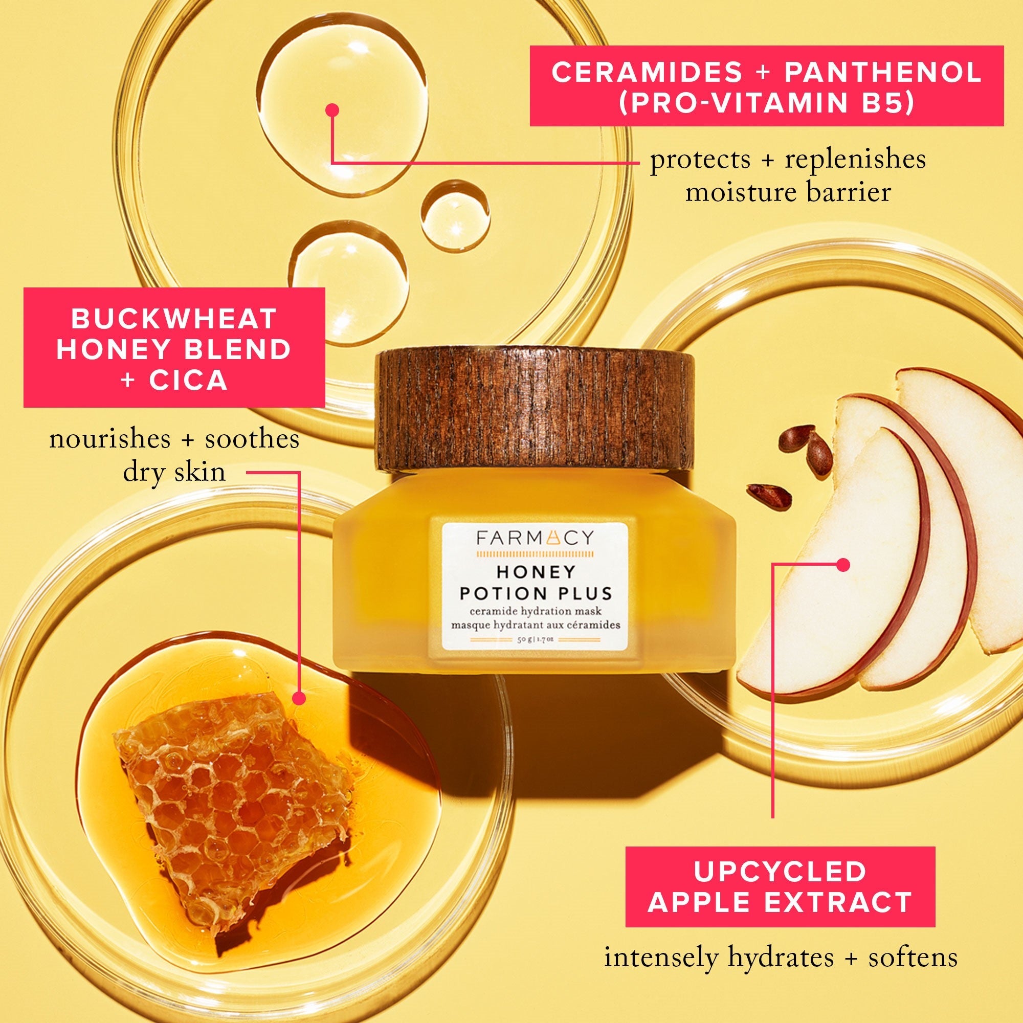 A Honey Potion Plus infographic outlining the skincare benefits